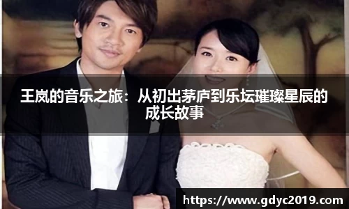 王岚的音乐之旅：从初出茅庐到乐坛璀璨星辰的成长故事